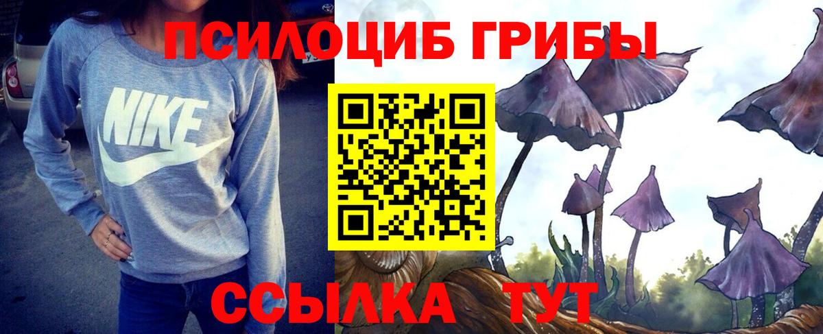 Псилоцибиновые грибы прущие грибы Строитель